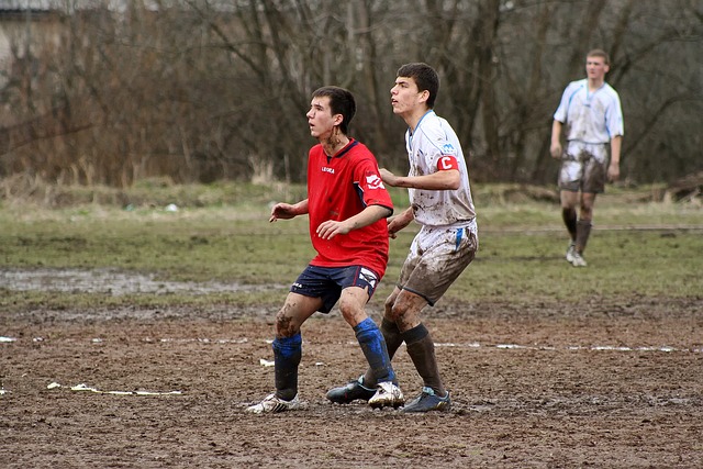 筹帷幄往往 筹帷幄往往