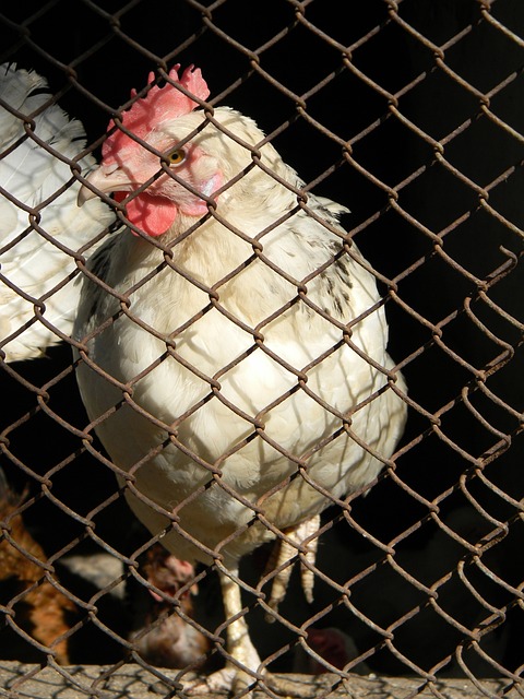 关联案例 关联案例