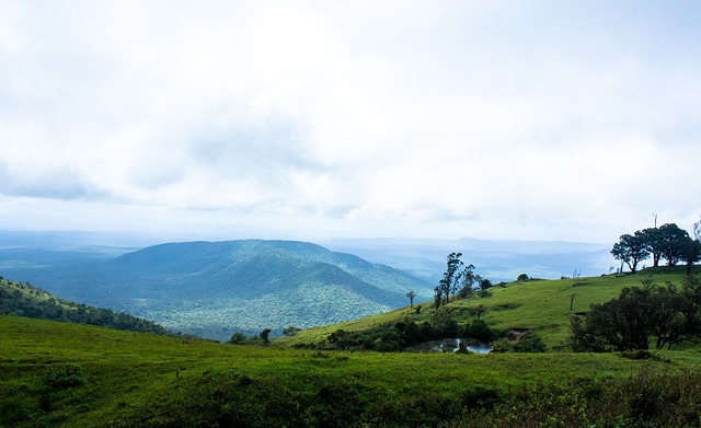 星的潛規則 星的潛規則