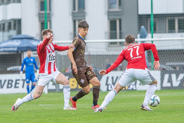 中的重要性 中的重要性