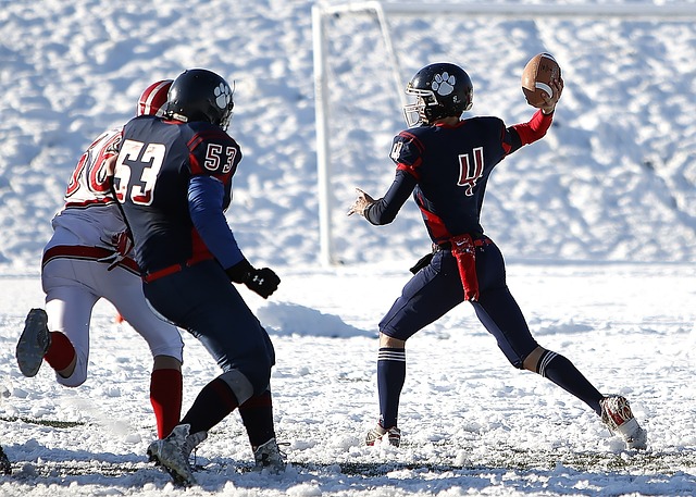 黄友政通过 黄友政通过