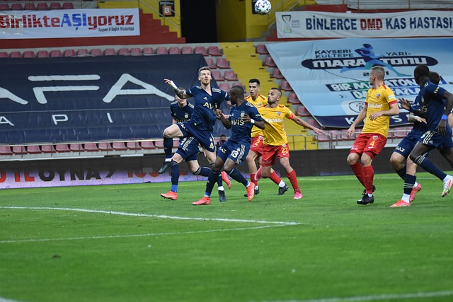 他显然希望 他显然希望