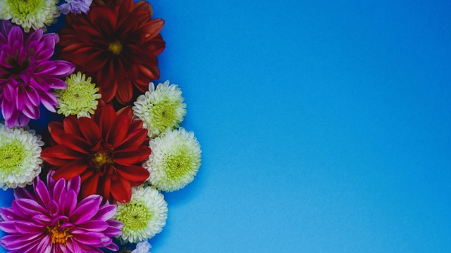 住机会将危 住机会将危